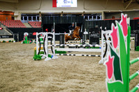 2025 - Haylee - Royal West - Wednesday October 22nd - 01772