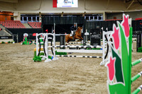 2025 - Haylee - Royal West - Wednesday October 22nd - 01773