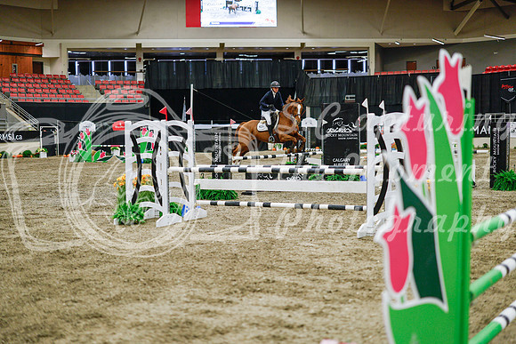 2025 - Haylee - Royal West - Wednesday October 22nd - 01775