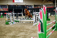 2025 - Haylee - Royal West - Wednesday October 22nd - 01783