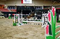 2025 - Haylee - Royal West - Wednesday October 22nd - 01210