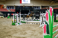 2025 - Haylee - Royal West - Wednesday October 22nd - 01213