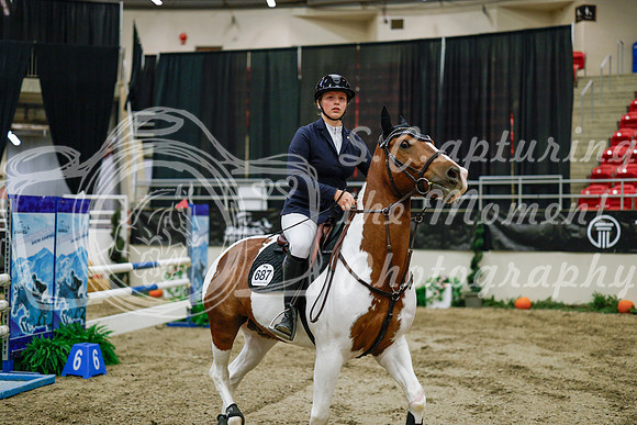 2025 - Haylee - Royal West - Wednesday October 22nd - 01467