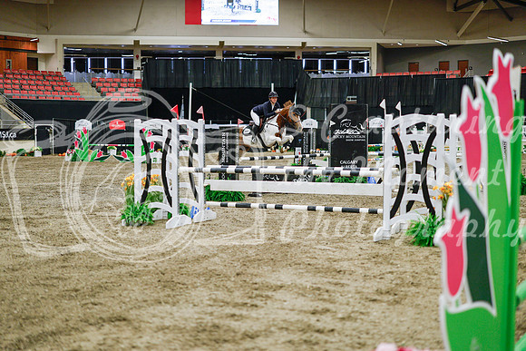 2025 - Haylee - Royal West - Wednesday October 22nd - 01470