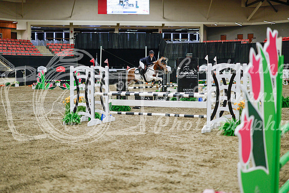 2025 - Haylee - Royal West - Wednesday October 22nd - 01472