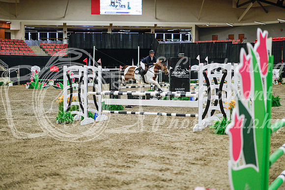 2025 - Haylee - Royal West - Wednesday October 22nd - 01475