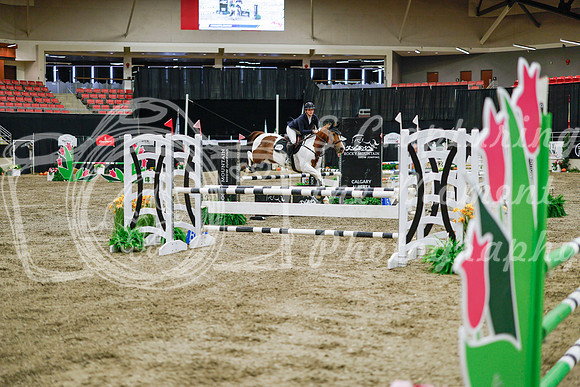 2025 - Haylee - Royal West - Wednesday October 22nd - 01476