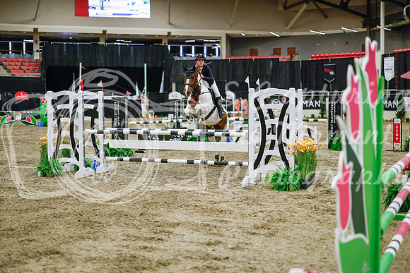 2025 - Haylee - Royal West - Wednesday October 22nd - 01483