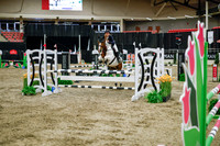 2025 - Haylee - Royal West - Wednesday October 22nd - 01484