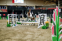 2025 - Haylee - Royal West - Wednesday October 22nd - 01485