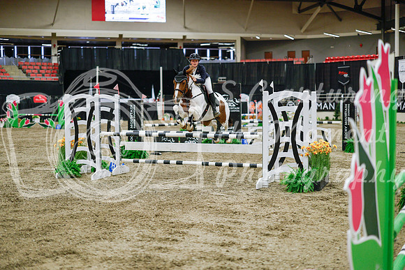 2025 - Haylee - Royal West - Wednesday October 22nd - 01489