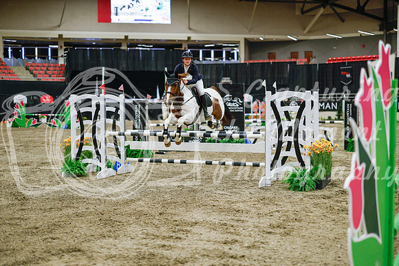 2025 - Haylee - Royal West - Wednesday October 22nd - 01492