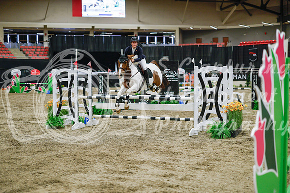 2025 - Haylee - Royal West - Wednesday October 22nd - 01493