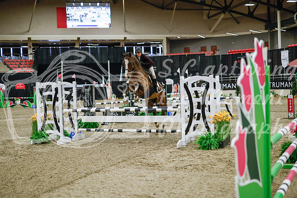 2025 - Haylee - Royal West - Wednesday October 22nd - 00866