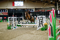 2025 - Haylee - Royal West - Wednesday October 22nd - 00868