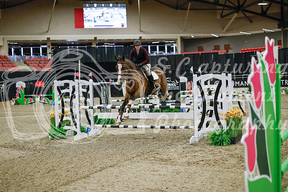 2025 - Haylee - Royal West - Wednesday October 22nd - 00874