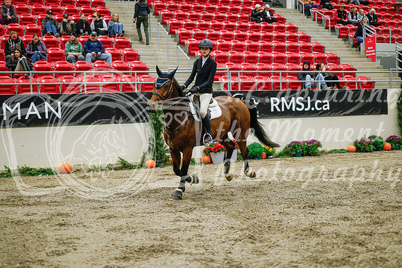 2025 - Haylee - Royal West - Wednesday October 22nd - 01543