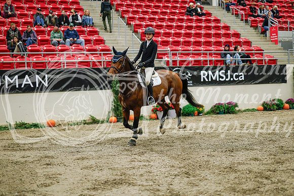2025 - Haylee - Royal West - Wednesday October 22nd - 01544