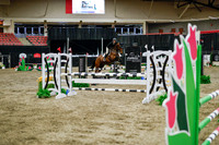 2025 - Haylee - Royal West - Wednesday October 22nd - 01549