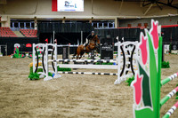2025 - Haylee - Royal West - Wednesday October 22nd - 01550