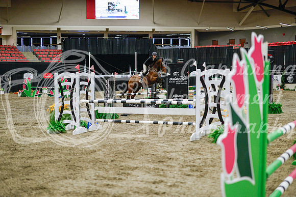 2025 - Haylee - Royal West - Wednesday October 22nd - 01550