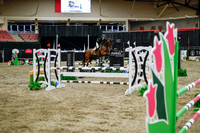 2025 - Haylee - Royal West - Wednesday October 22nd - 01552