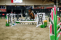 2025 - Haylee - Royal West - Wednesday October 22nd - 01553