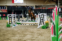 2025 - Haylee - Royal West - Wednesday October 22nd - 01556