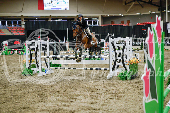 2025 - Haylee - Royal West - Wednesday October 22nd - 01563