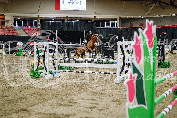 2025 - Haylee - Royal West - Wednesday October 22nd - 01229