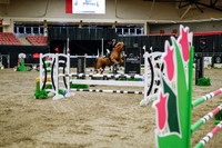 2025 - Haylee - Royal West - Wednesday October 22nd - 01231