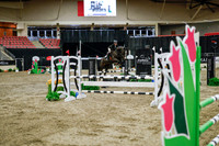2025 - Haylee - Royal West - Wednesday October 22nd - 01303