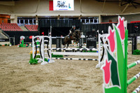 2025 - Haylee - Royal West - Wednesday October 22nd - 01304
