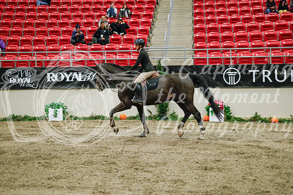 2025 - Haylee - Royal West - Wednesday October 22nd - 01306