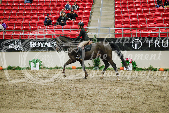 2025 - Haylee - Royal West - Wednesday October 22nd - 01307