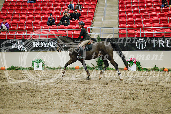 2025 - Haylee - Royal West - Wednesday October 22nd - 01308