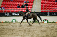 2025 - Haylee - Royal West - Wednesday October 22nd - 01310