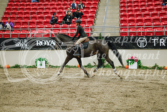 2025 - Haylee - Royal West - Wednesday October 22nd - 01310