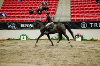 2025 - Haylee - Royal West - Wednesday October 22nd - 01309