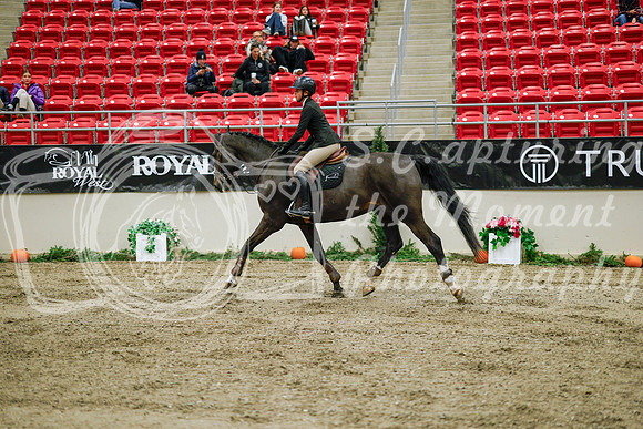 2025 - Haylee - Royal West - Wednesday October 22nd - 01309