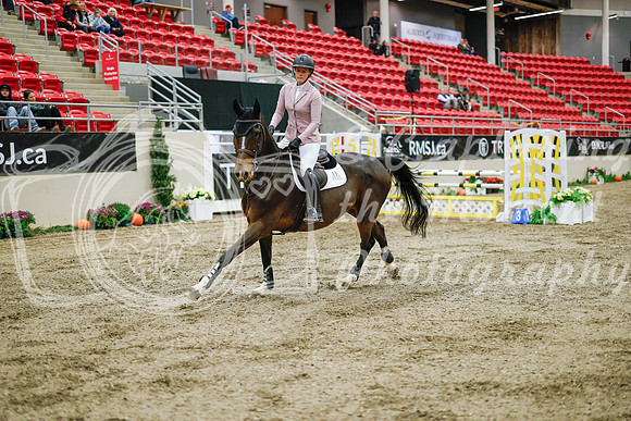 2025 - Haylee - Royal West - Wednesday October 22nd - 01313