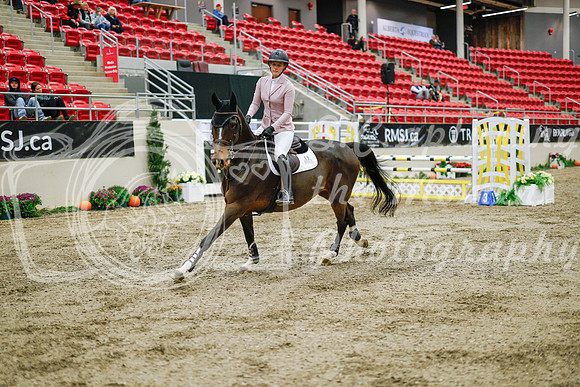 2025 - Haylee - Royal West - Wednesday October 22nd - 01314