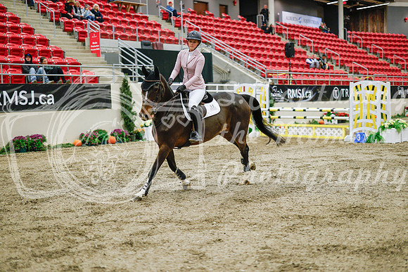 2025 - Haylee - Royal West - Wednesday October 22nd - 01317