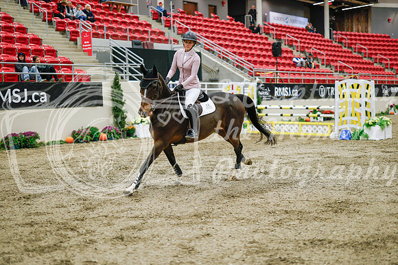 2025 - Haylee - Royal West - Wednesday October 22nd - 01316