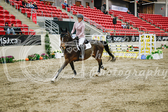 2025 - Haylee - Royal West - Wednesday October 22nd - 01315