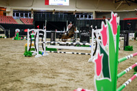 2025 - Haylee - Royal West - Wednesday October 22nd - 01324
