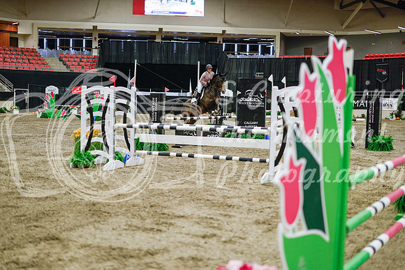 2025 - Haylee - Royal West - Wednesday October 22nd - 01324