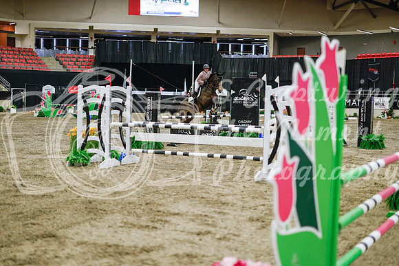 2025 - Haylee - Royal West - Wednesday October 22nd - 01325