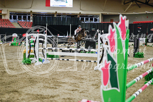 2025 - Haylee - Royal West - Wednesday October 22nd - 01329