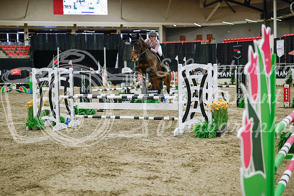 2025 - Haylee - Royal West - Wednesday October 22nd - 01341